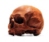 Шоколадный череп