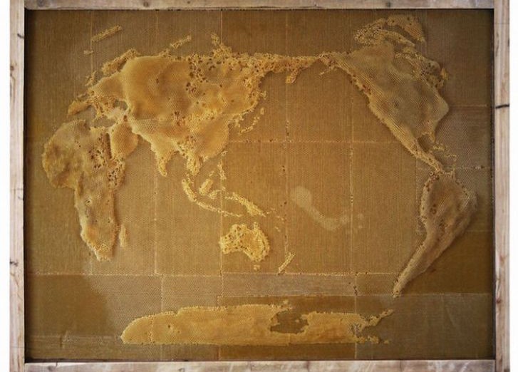 Карта на медовых сотах