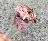 Мороженое с жуками и червяками