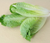 Салат листовой