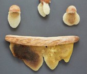 Скульптуры из хлеба и медовых сот