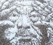 Портрет революционера из 20 000 семечек