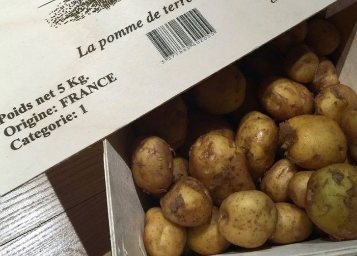 Картофель сорта La Bonnotte
