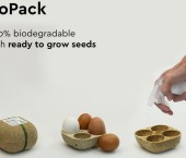 био-упаковка для яиц