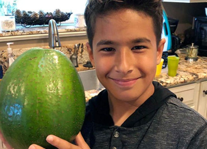 гигантский авокадо