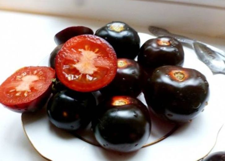 томаты индиго
