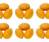 Гибрид сливы и манго
