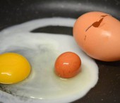 Яйцо куриное
