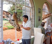 Завтрак с жирафами в отеле Giraffe Manor