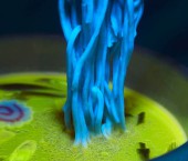 Светящаяся в темноте лапша рамен