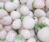 белая клубника