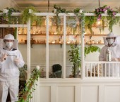 бар Mr Fogg’s House of Botanicals