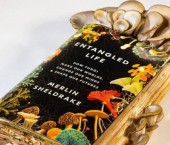 грибы в книге