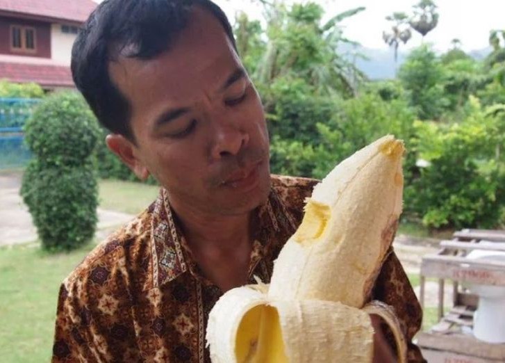 гигантский банан
