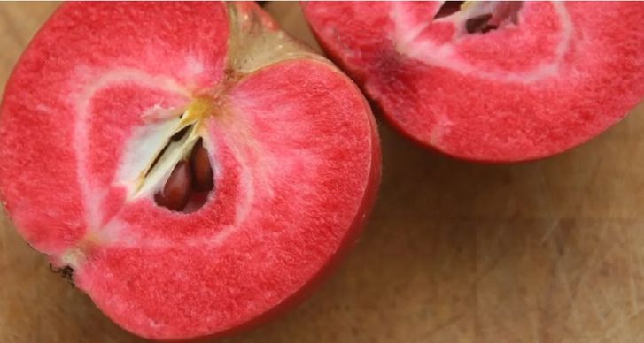 Яблоки с красной мякотью вывели китайские ученые