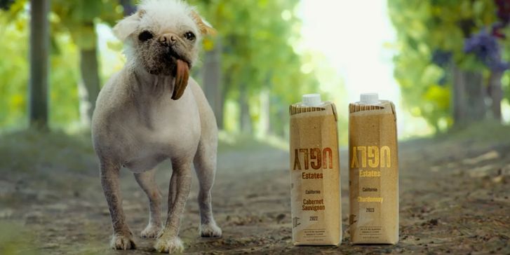 вино