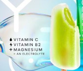 фруктовый лед