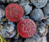 виноград с мякотью «вишни»