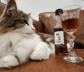 вино для кошек