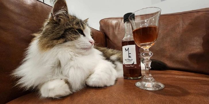 вино для кошек