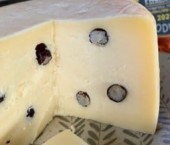 сыр с муравьями