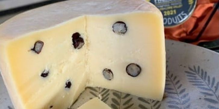 сыр с муравьями