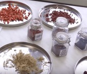 пищевая добавка