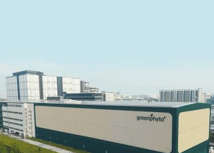 вертикальная ферма